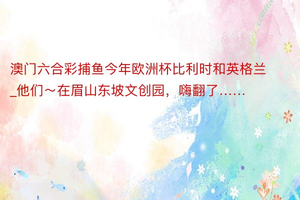 澳门六合彩捕鱼今年欧洲杯比利时和英格兰_他们～在眉山东坡文创园，嗨翻了……